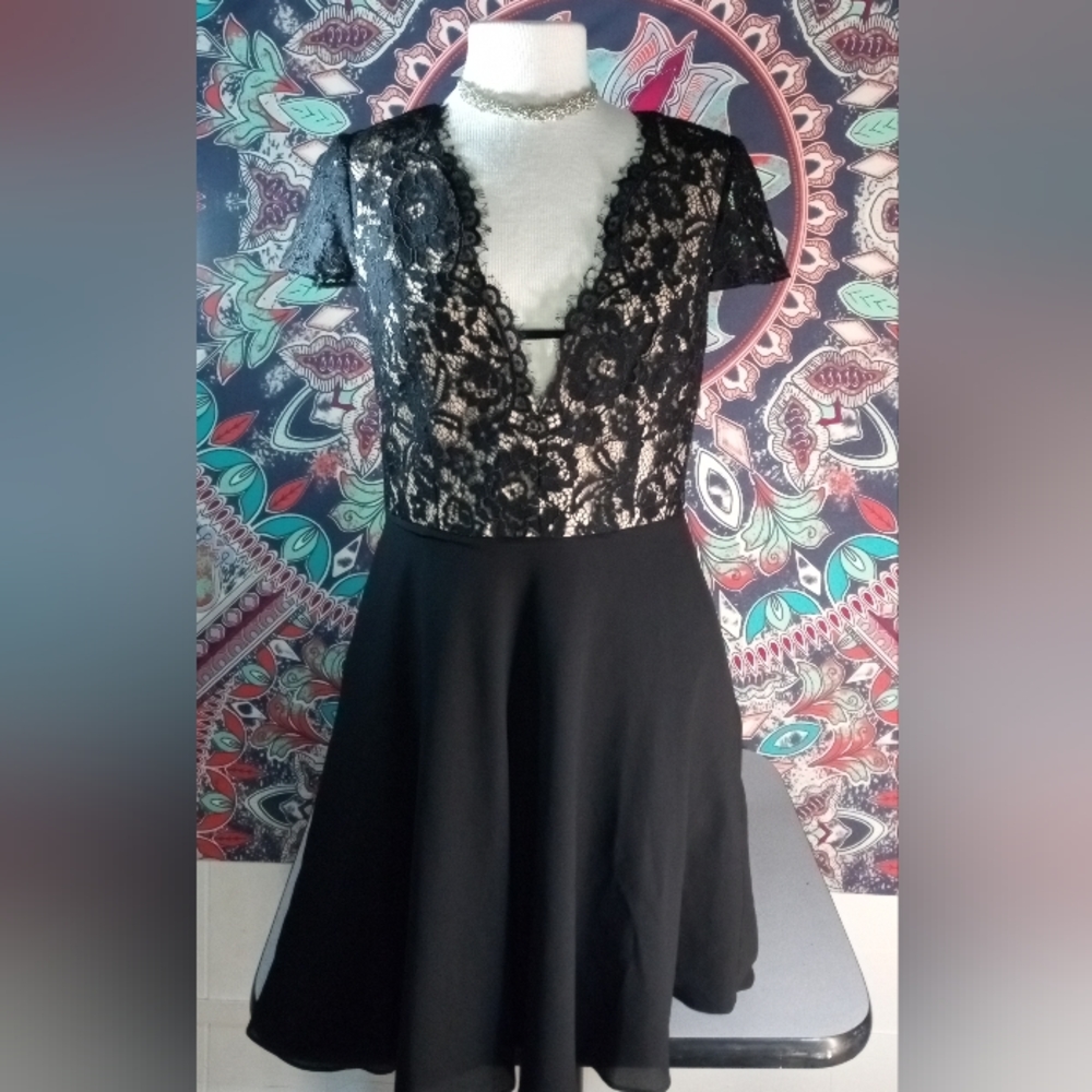 Gianni Bini Lace chiffon/solid black babydoll dress